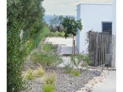 For sale Meze 3 rooms 60 m2 Herault (34140) photo 1