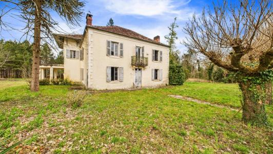 Annonce Vente 10 pices Maison Saint-martin-d'oney 40