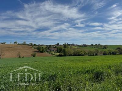 Annonce Vente 5 pices Maison Pouy-roquelaure 32
