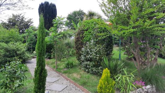 Acheter Maison Montendre 295000 euros