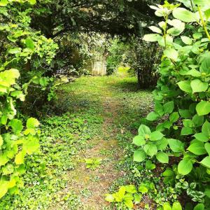Annonce Vente 5 pices Maison Moreac 56