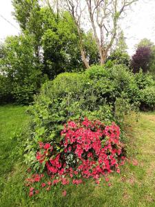Acheter Maison 115 m2 Moreac