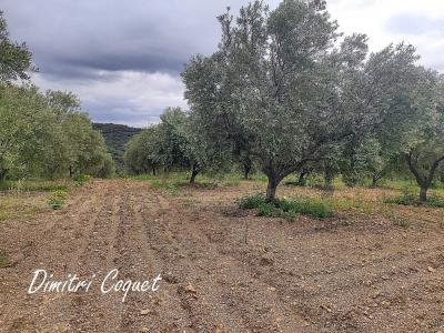 For sale Gabian 8000 m2 Herault (34320) photo 1