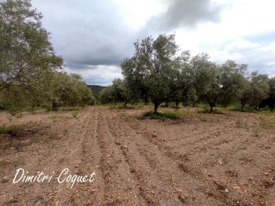 For sale Gabian 8000 m2 Herault (34320) photo 2