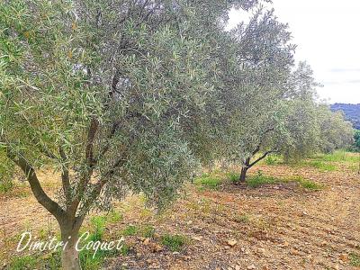 For sale Gabian 8000 m2 Herault (34320) photo 3