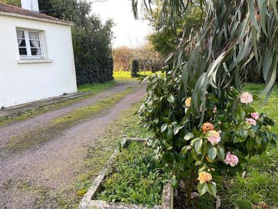 For sale Dolus-d'oleron 5 rooms 110 m2 Charente maritime (17550) photo 2