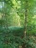 Vente Terrain Marle 6620 m2