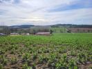 Vente Terrain Puycasquier