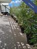 Vente Appartement Marseille-10eme-arrondissement 4 pieces 70 m2