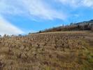 For sale Land Albi 8000 m2