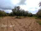 For sale Land Gabian 8000 m2
