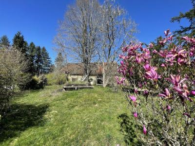 For sale Coquille 6 rooms 250 m2 Dordogne (24450) photo 1
