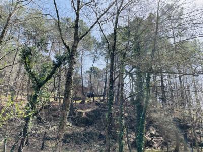 For sale 30 m2 Ardeche (07200) photo 2