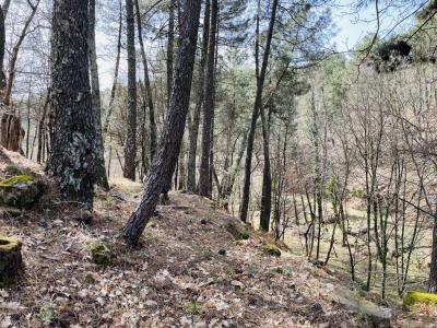 For sale 30 m2 Ardeche (07200) photo 3