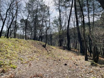 For sale 30 m2 Ardeche (07200) photo 4