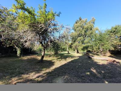 For sale CENTRE VILLE, COLE, COMM 11 rooms 175 m2 Cher (18370) photo 2