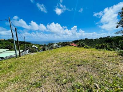 Annonce Vente Terrain Lorrain 972