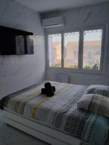 Annonce Location 2 pices Appartement Arcachon 33