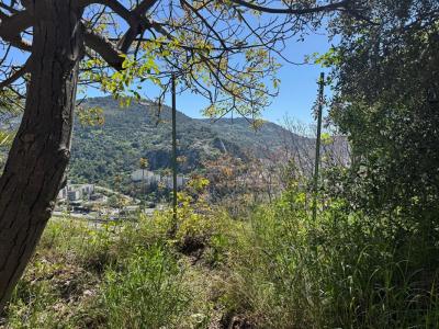 Acheter Maison Nice Alpes Maritimes