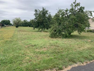 For sale Libourne 265 m2 Gironde (33500) photo 1