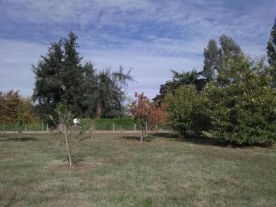 For sale Saint-martin-du-bois Gironde (33910) photo 0