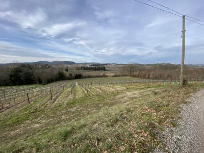 Acheter Prestige Ajac 735000 euros