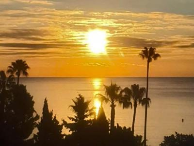 For sale Cannes 1 room 24 m2 Alpes Maritimes (06400) photo 1