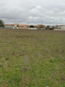 Acheter Terrain 324 m2 Puilboreau