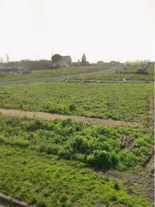 Acheter Terrain 261 m2 Thou