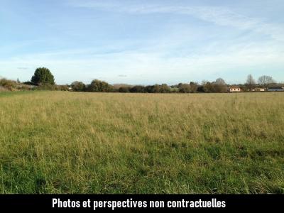 Annonce Vente Maison Mouchamps 85