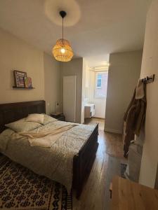For rent Lille 1 room 29 m2 Nord (59800) photo 1