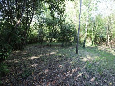 For sale Saint-georges-d'oleron 419 m2 Charente maritime (17190) photo 1