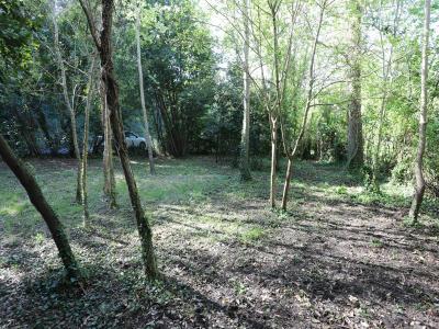 For sale Saint-georges-d'oleron 419 m2 Charente maritime (17190) photo 2
