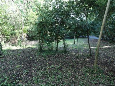 For sale Saint-georges-d'oleron 419 m2 Charente maritime (17190) photo 3