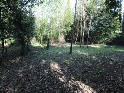 For sale Saint-georges-d'oleron 419 m2 Charente maritime (17190) photo 4