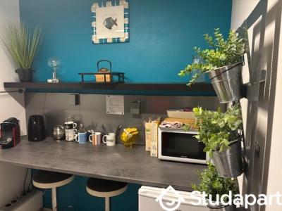 For rent Marseille-15eme-arrondissement 1 room 12 m2 Bouches du Rhone (13015) photo 3
