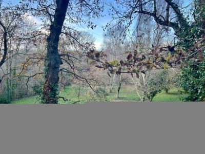 For sale ACCS  LA PISTE VERTE 6 rooms 174 m2 Herault (34220) photo 2