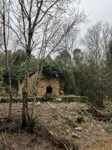 For sale AVEC BELLE VUE 9 m2 Herault (34390) photo 0