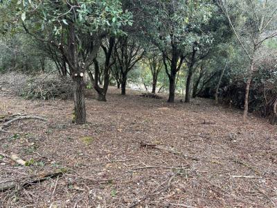 For sale AVEC BELLE VUE 9 m2 Herault (34390) photo 2