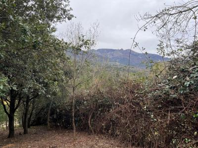 For sale AVEC BELLE VUE 9 m2 Herault (34390) photo 3