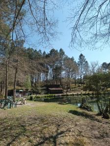 For sale PROCHE VILLANDRAUT 4 rooms 81 m2 Gironde (33730) photo 1