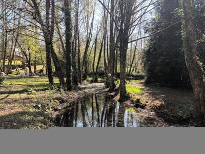 For sale PROCHE VILLANDRAUT 4 rooms 81 m2 Gironde (33730) photo 2