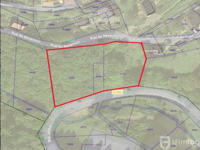 For sale Bourbach-le-haut 3609 m2 Haut rhin (68290) photo 1