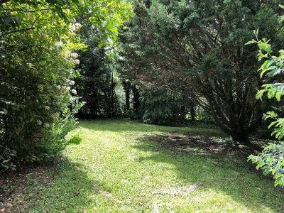 For rent Pessac 6 rooms 210 m2 Gironde (33600) photo 3
