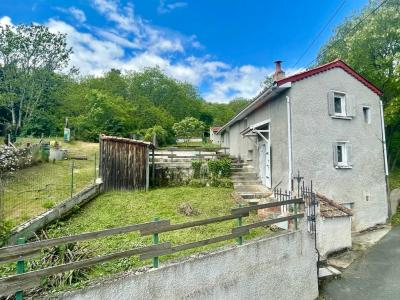Annonce Vente 4 pices Maison Boen 42