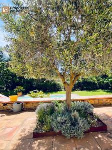 For sale Saint-cyr-sur-mer 8 rooms 272 m2 Var (83270) photo 0