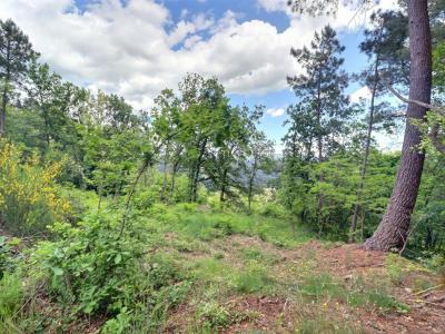 For sale Labegude 1748 m2 Ardeche (07200) photo 2