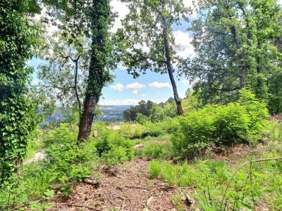 For sale Labegude 1748 m2 Ardeche (07200) photo 4