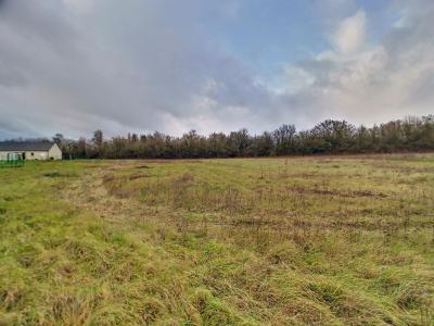 For sale Aix-d'angillon 1529 m2 Cher (18220) photo 1