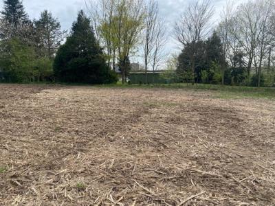 For sale Molac 1075 m2 Morbihan (56230) photo 2
